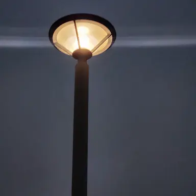 Profile image of 조우안신