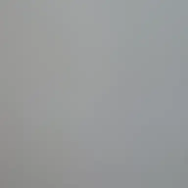 Profile image of 공룡