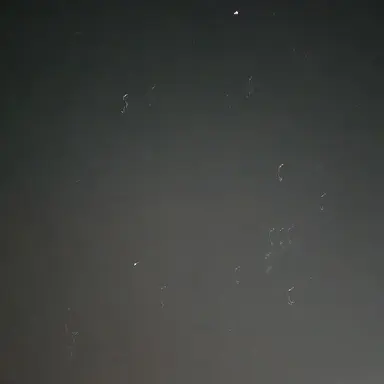 Profile image of 장원영