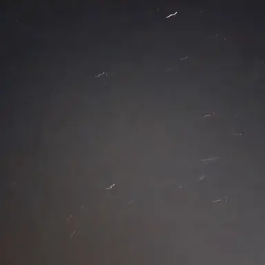 Profile image of 다현