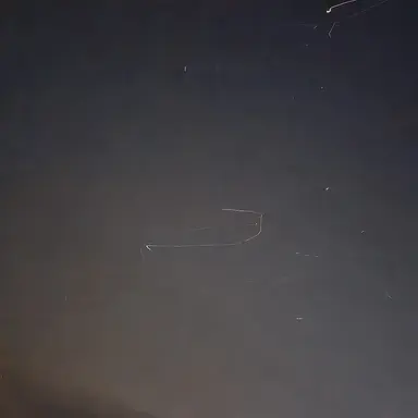 Profile image of 리즈