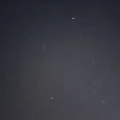 Profile image of 이서