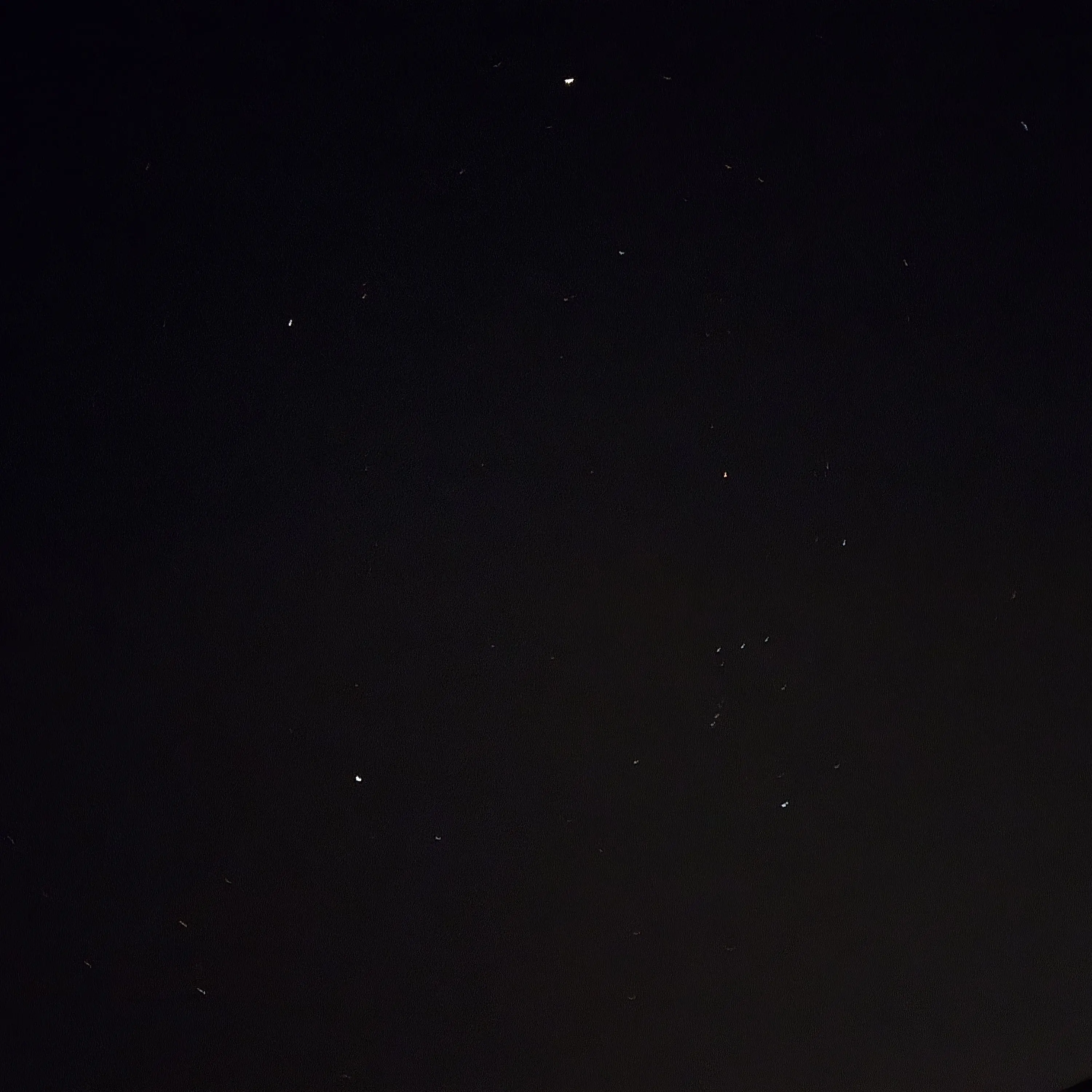 NiceTwin9569의 조선