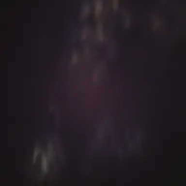 Profile image of 안유진