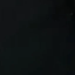 이나경