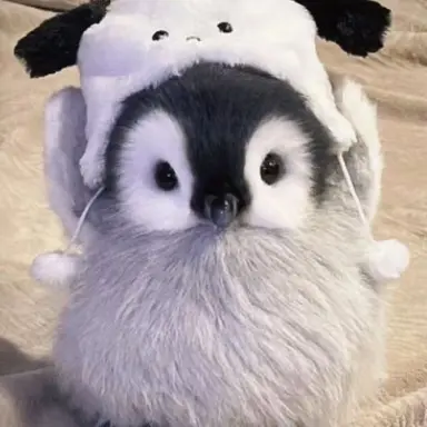 Profile image of 수쟁