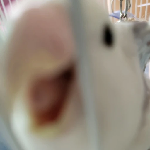 아티