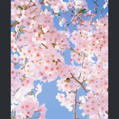 Profile image of 봉근대