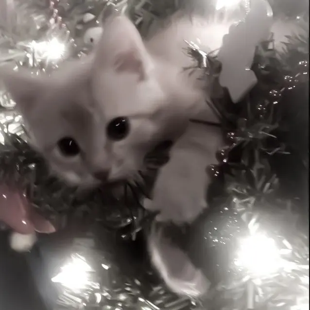 haerinn3037의 彼女の嫉妬