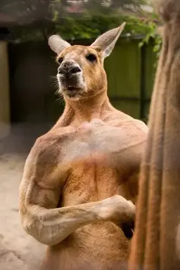Profile image of 한채아