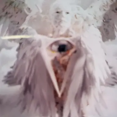 Profile image of 루케님