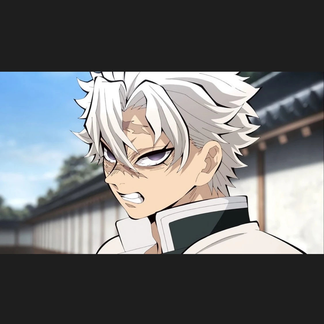 시네즈가와 사네미