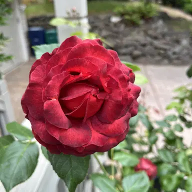 Profile image of 댓글에서 끝말잇기