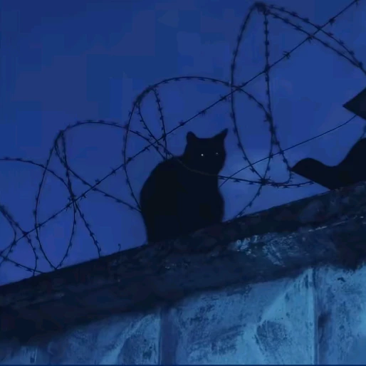 猫耳としっぽが生えた
