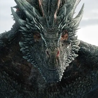Profile image of Drogon