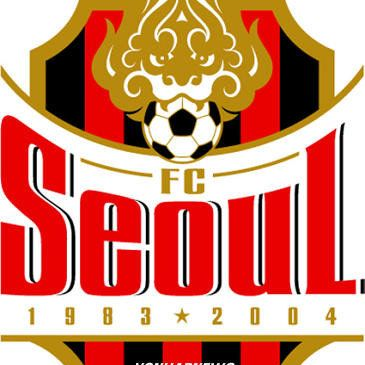 FC서울 대표 이미지