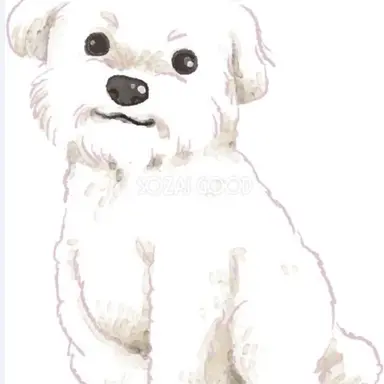 Profile image of くり