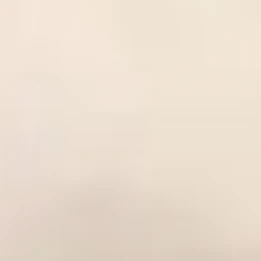 엔위시 환승연애