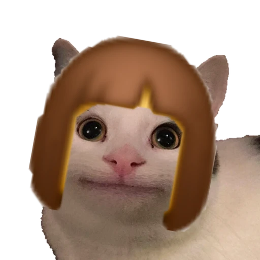 여 잼