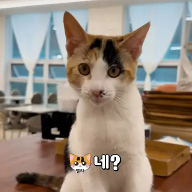 Profile image of 젤리