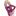 쿠시다 키쿄