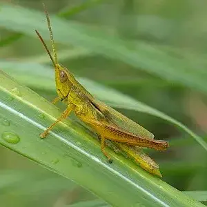 Profile image of 신우림