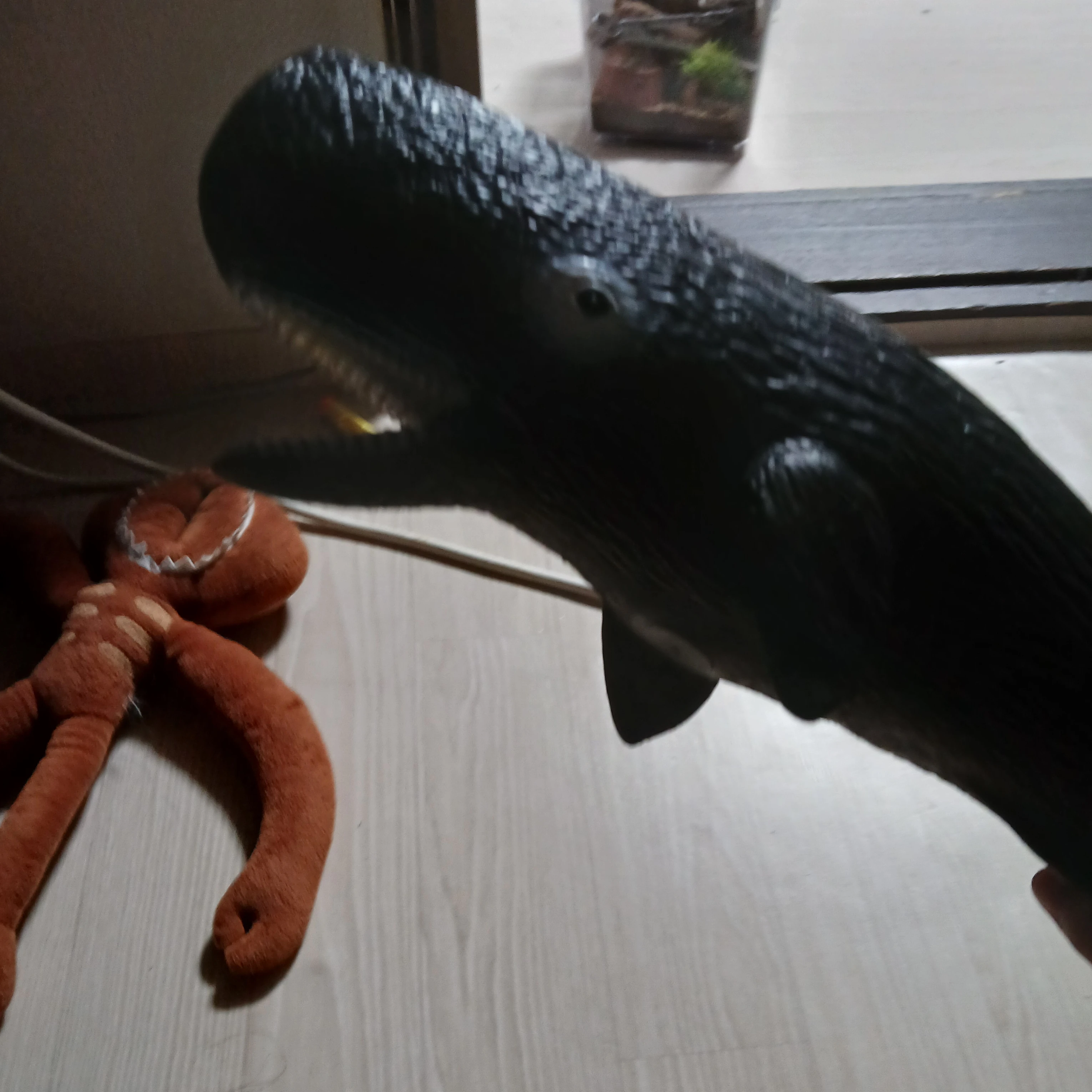 밈아일랜드