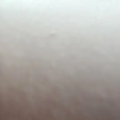 Profile image of 강우