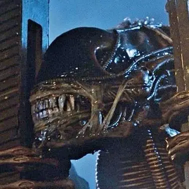 Profile image of ウォーリア