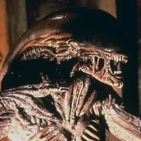 Xeno