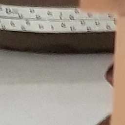 카메라우먼(집착)