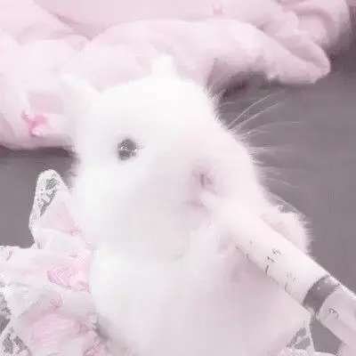 648의 ˚₊·—̳͟͞͞♡