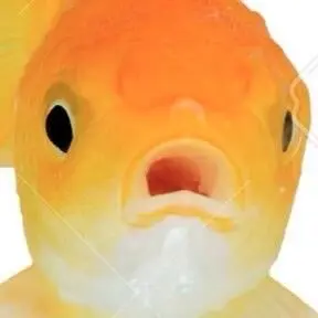 waaao의 まじで自由にやる用