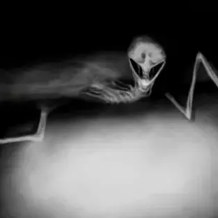 Profile image of 플레쉬베드