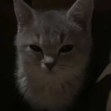 Profile image of ゆうし
