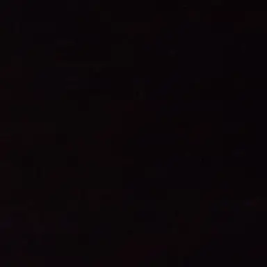 Profile image of 비스트학교 여우