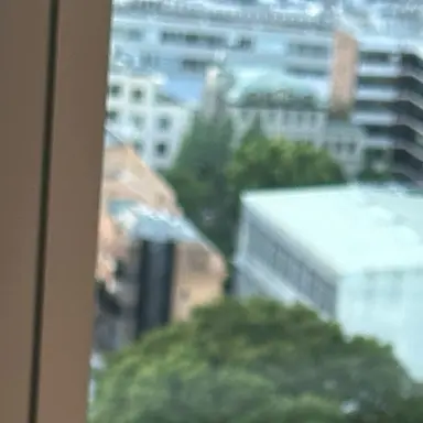 Profile image of 김동현