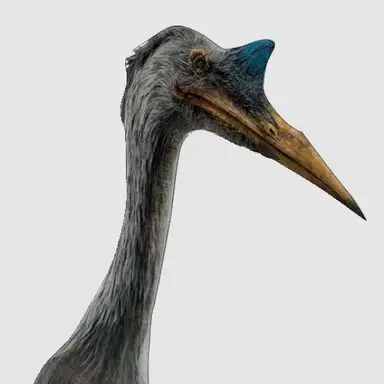 Profile image of 케찰코아틀루스