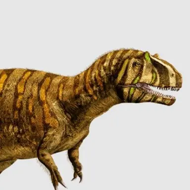 Profile image of 메트리아칸토사우루스