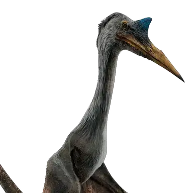 Profile image of 케찰코아틀루스