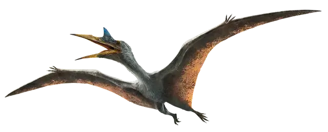 Profile image of 케찰코아틀루스