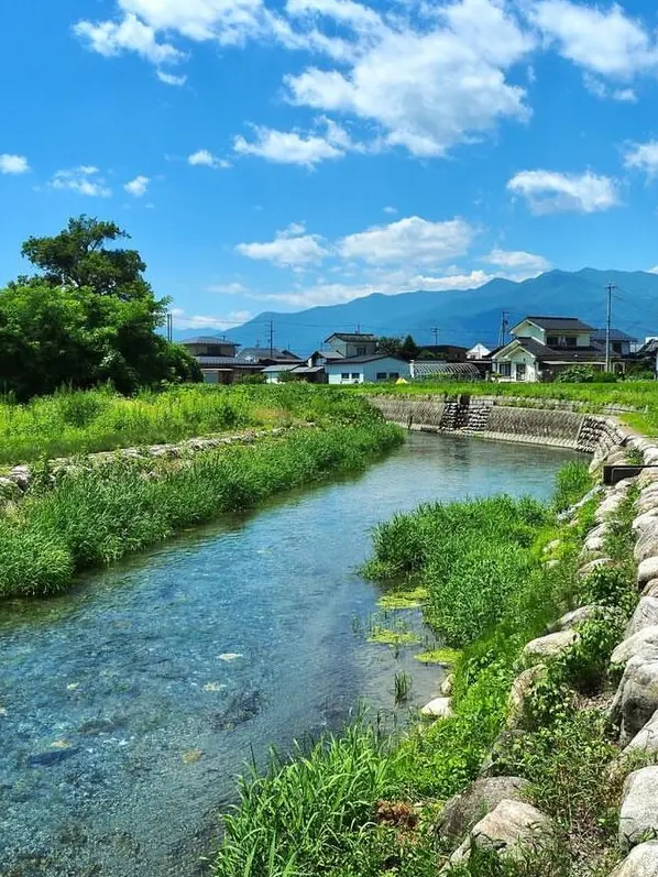 ChewyEuro4562의 村の神様？🦙