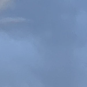 정우