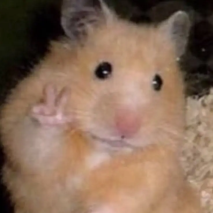 DaftQuoll6294의 햄찌씨