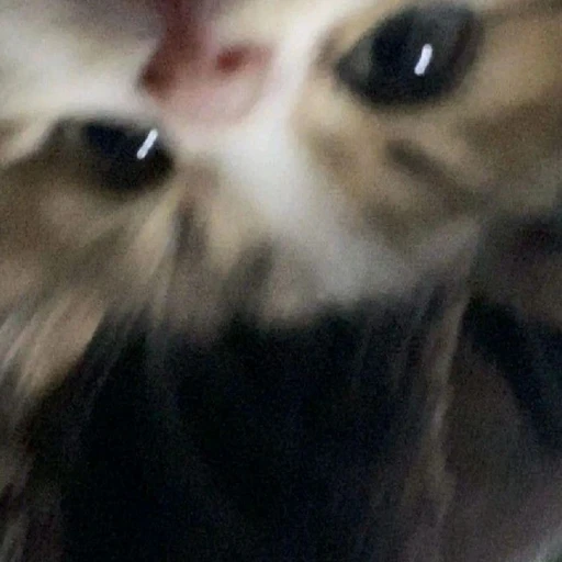 f6