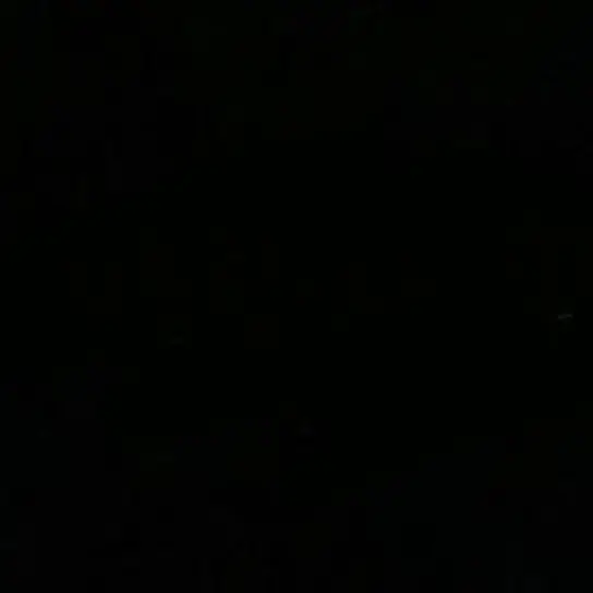2000.6.6의 ­