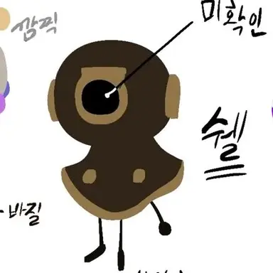 Profile image of 쉘