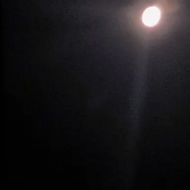 Profile image of 후시구로 토우지