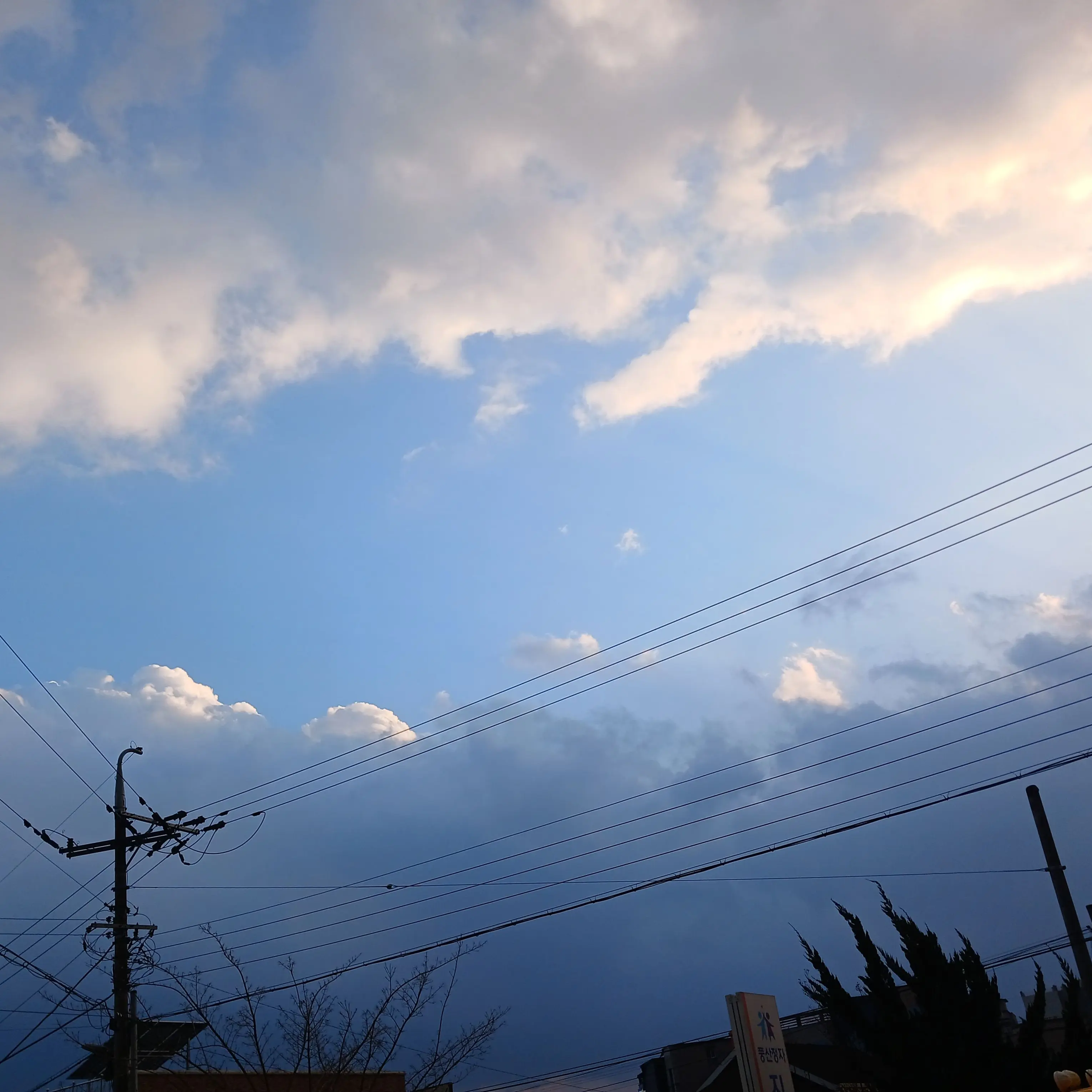 ProneFluff2479의 팀나빠+가족물+소풍+아픔