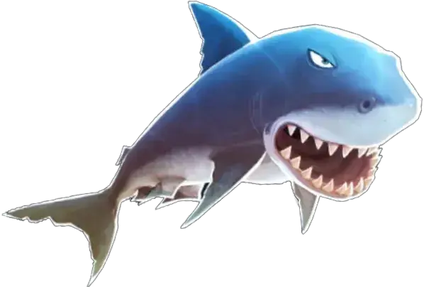 Profile image of ホホジロザメ